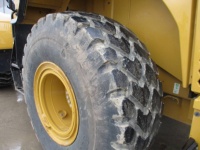 caterpillar-emb01028