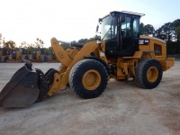 caterpillar-rhn02683