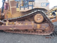 caterpillar-rex00331