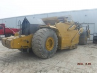 caterpillar-dbf00174