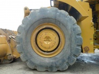 caterpillar-44200254