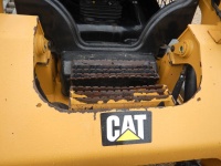 caterpillar-taw02499