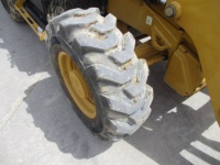 caterpillar-hwb00588