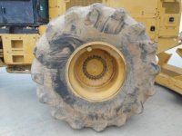 caterpillar-pgy00135