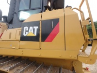 caterpillar-tan01279