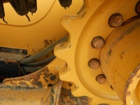 caterpillar-fd201282