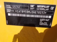 caterpillar-ene10253