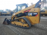 caterpillar-taw06497