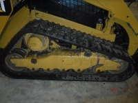 caterpillar-taw04949