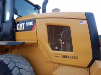 caterpillar-rhn02683