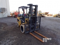 caterpillar-at13g01278