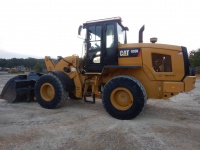 caterpillar-rhn02683