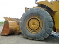 caterpillar-44200254